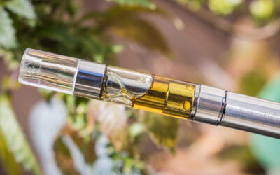 Why the Weed Vaporizer Is the Future of Cannabis Consumption